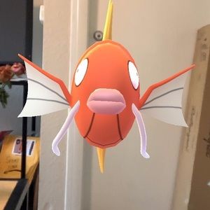 Meet your Posher, Kayley